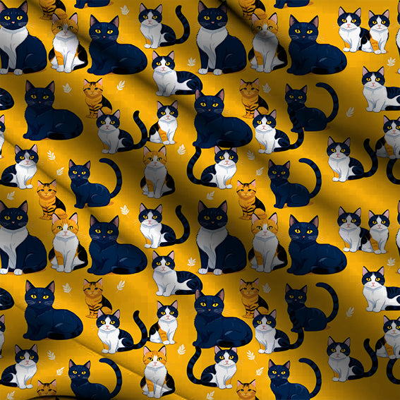 Gatos