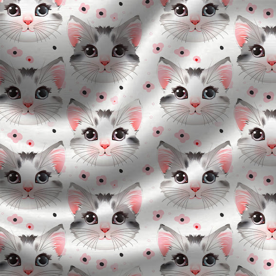 Gatos