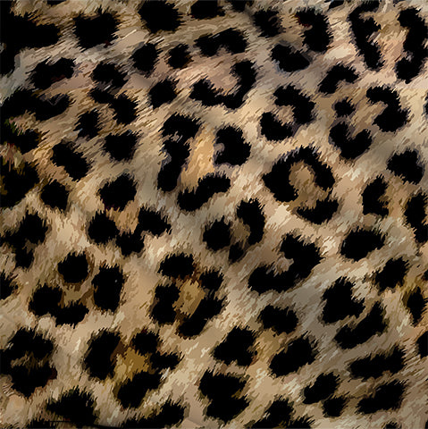 Animal Print 29