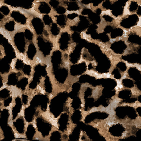 Animal Print 24