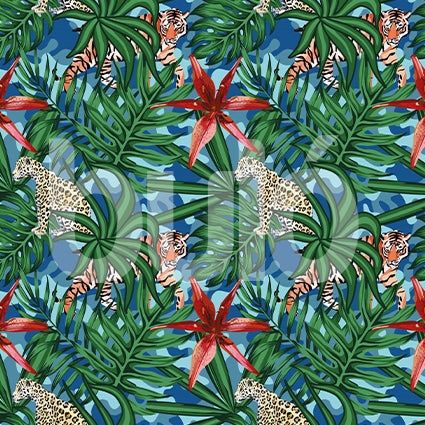 Tropical 41