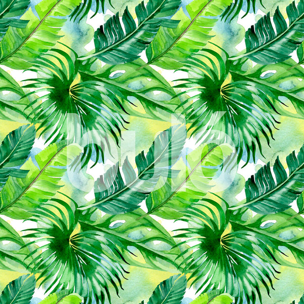 Tropical 31