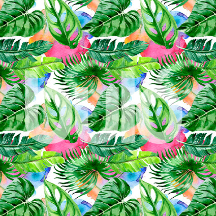 Tropical 40