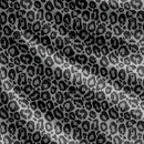 diseño animal print de fondo gris con pintas negras 